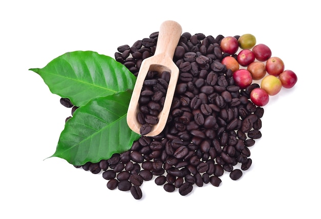 Coffee beans and ripe coffee isolated on white.