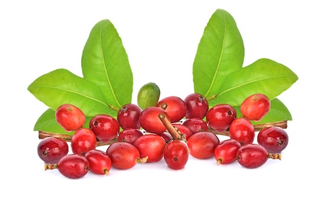 Coffee beans on white background.