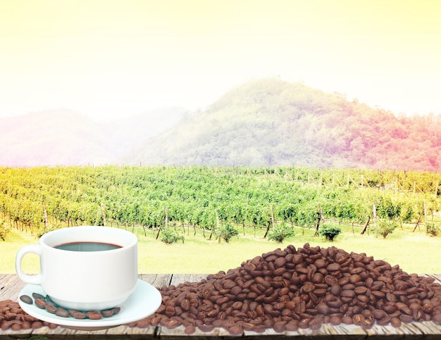 Coffee beans on wood in the coffee plantation