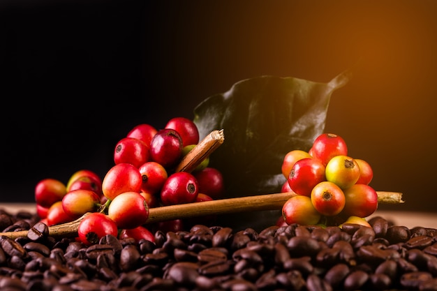 Coffee beans. On a wooden background rotation