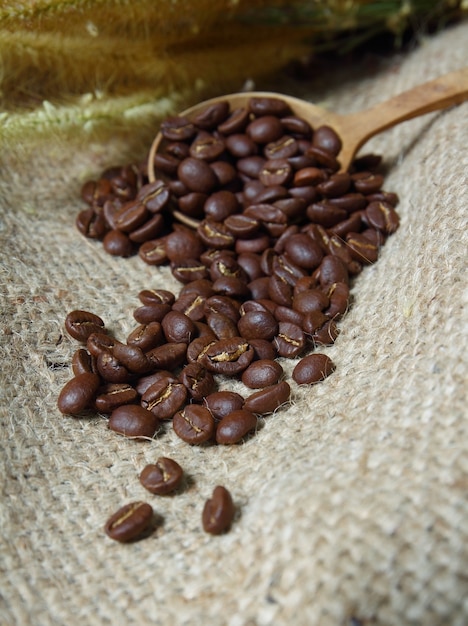 Coffee beans in wooden spoon on sackcloth