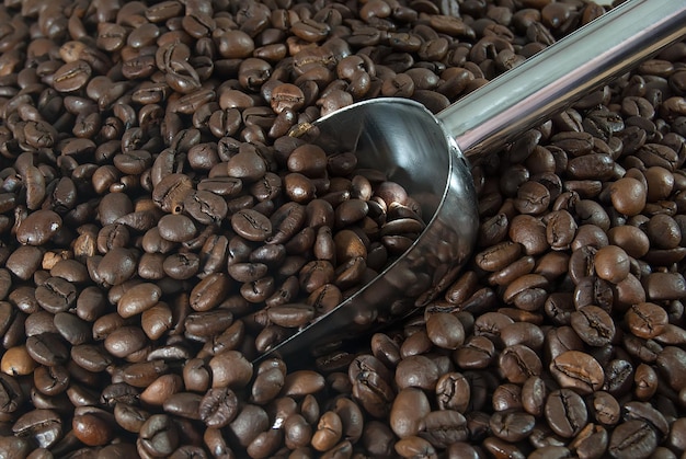 Coffee beans