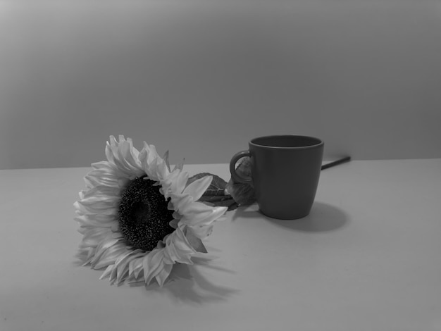 Coffee cup with sunflower on white background Creative photo Black White picture