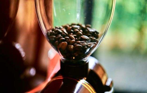 A coffee grinder with coffee beans in it