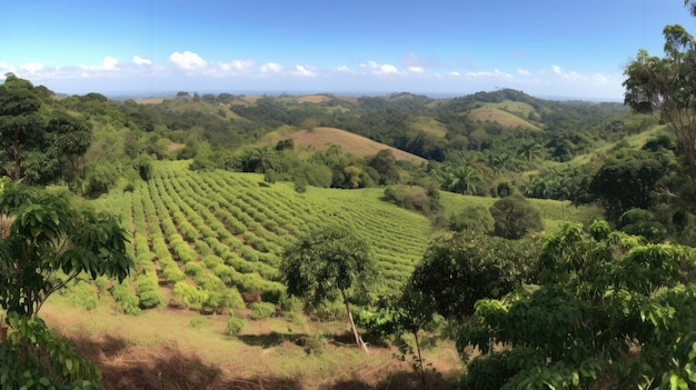 Coffee plantation Landscape with coffee trees Generative AI