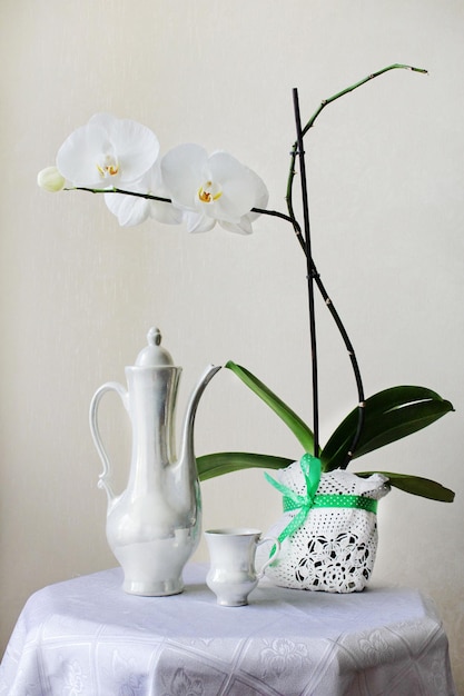 Coffee pot white with a white flower on the table with a white tablecloth