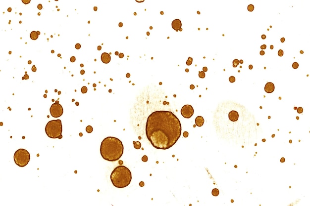 Coffee stain texture Abstract spots Psychological pictures Abstract bubbles