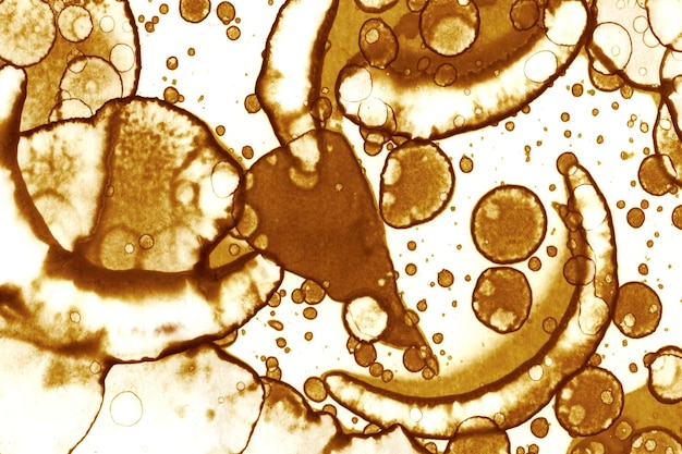 Coffee stain texture Abstract spots Psychological pictures Abstract bubbles