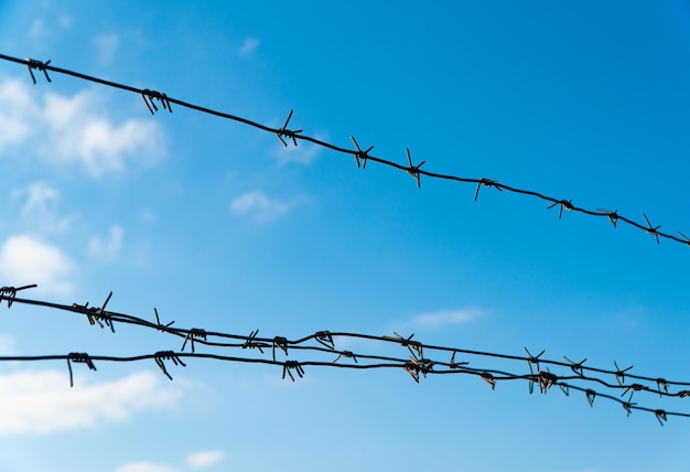 Coiled barbed wire fencing against a blue sky background. Concept of boundary, prison, war