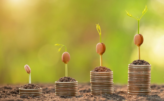 Coin stack with young green sprout on top. Business success, Financial or money growing concept