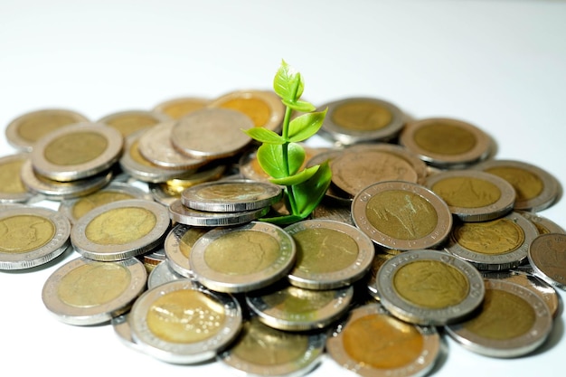 The coin on white background Concept of savings money or investment financial