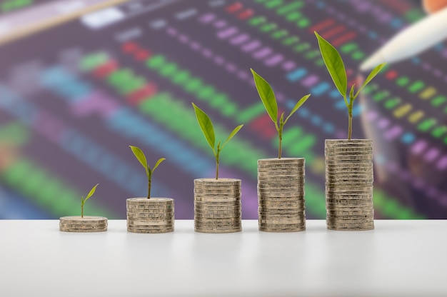 The coins accummulate in column with tree growth that represent money saving or financial planning idea for economy.