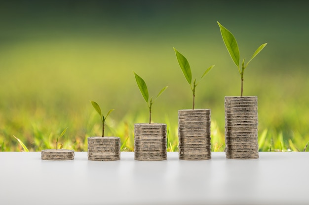 The coins accummulate in column with tree growth that represent money saving or financial planning idea for economy.