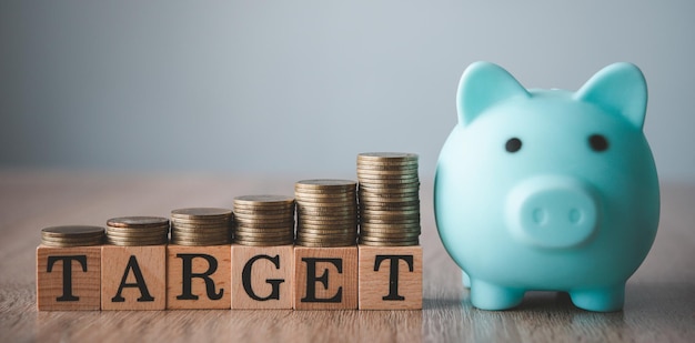 The coins are arranged on a wooden block with the word "TARGET" .concept the goal of collecting money.