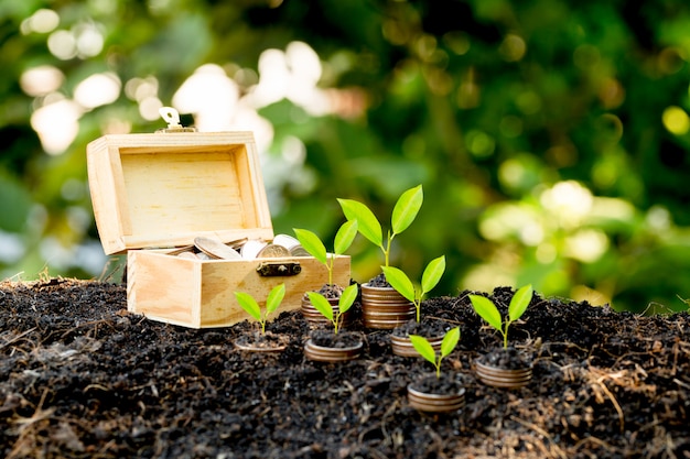 The coins are stacked on the ground and the seedlings are growing on top, the concept of saving money and financial and business growth.