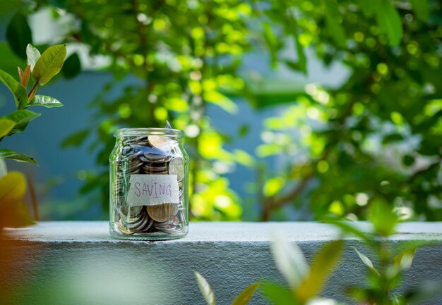 Coins in glass bottles on nature background The concept of savings and investment