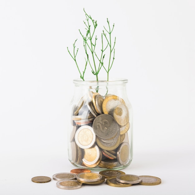 Coins in jar with plant 