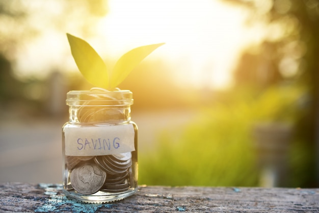 Coins money in Jar bottle on wood table sunlight nature green background