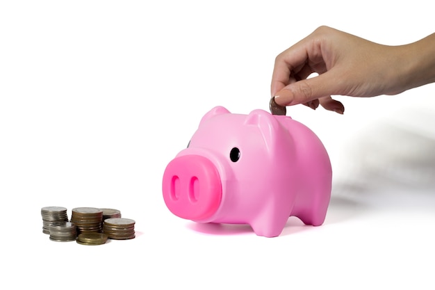 Coins and piggy bank isolated on white