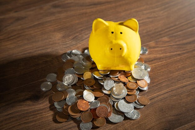 Coins and piggy bank on the table