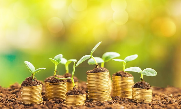 Coins in soil with young plants on background