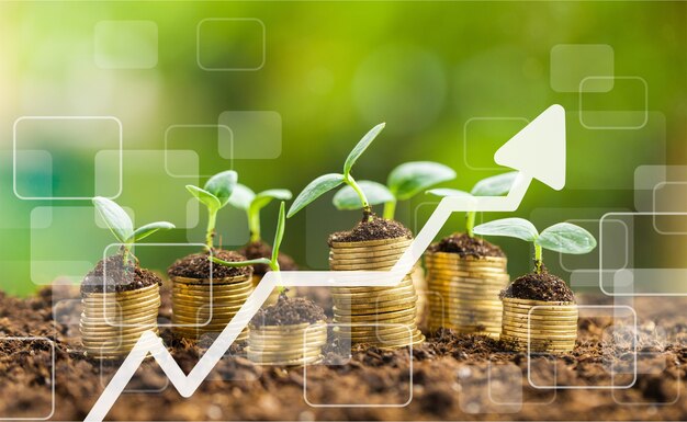 Coins in soil with young plants on background