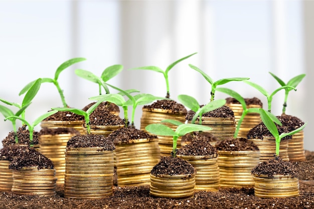 Coins in soil with young plants on blurred background