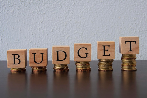 Coins Stack with Budget text on wooden blocks Conceptual