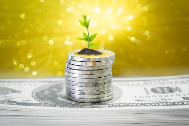 Coins with young plant on table with Golden backdrop blurred and money