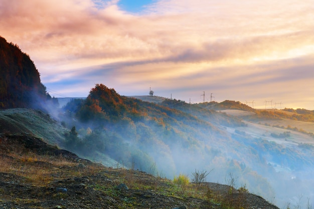 Cold morning fog with hot sunrise in conifer forest in mountains