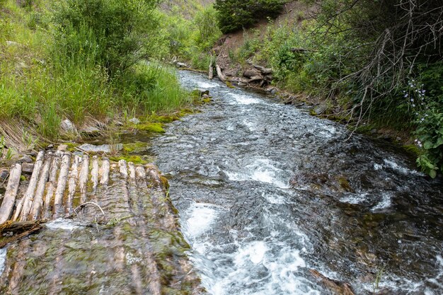 Cold mountain river in the forest area in the mountains