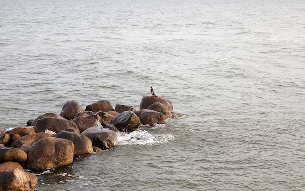 Cold summer weather on the baltic sea with lots of waves from strong winds, the Baltic sea is cold in the summer