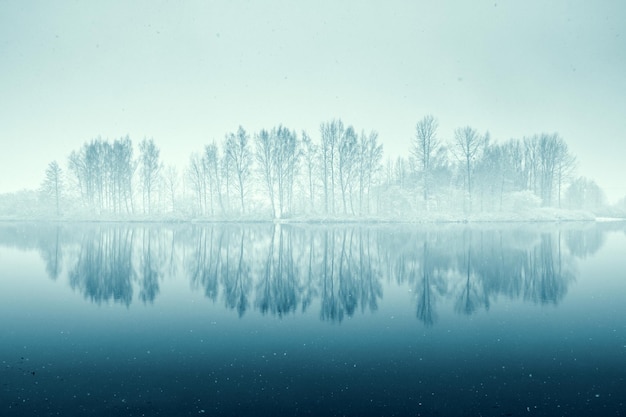 cold winter morning and reflections of trees on the ice