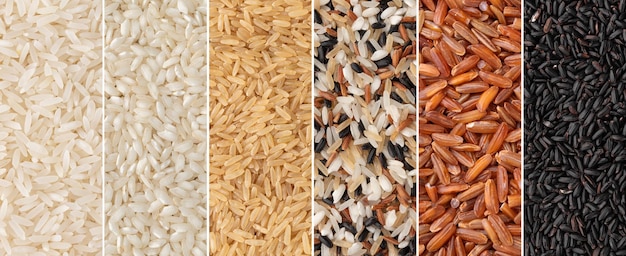 Collage of assorted rice. White, carnaroli, whole, red and black uncooked rice in panoramic format.