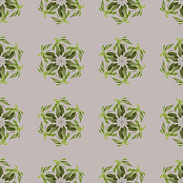 Photo collage green leaves isolated grey