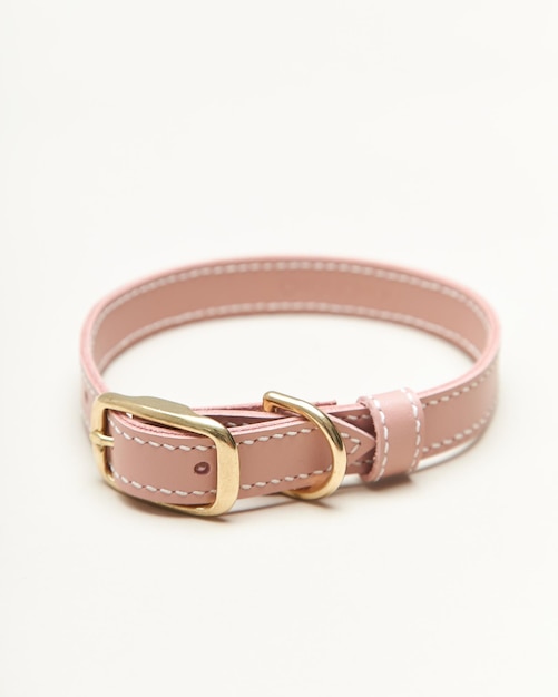 Collage isolated set of leather straps belts accessories collars leashes with rivets for dog pet