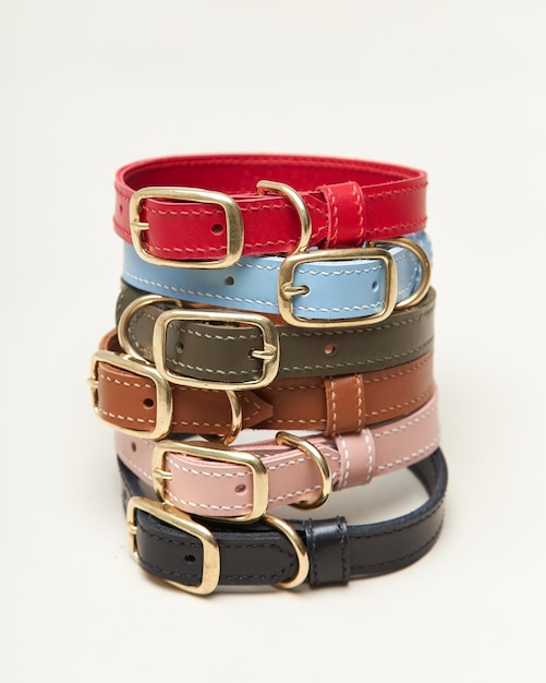 Collage isolated set of leather straps belts accessories collars leashes with rivets for dog pet