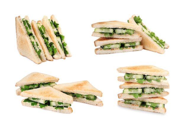 Collage with tasty cucumber sandwiches on white background