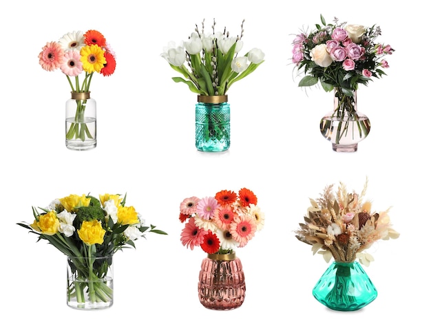 Collage with various beautiful flowers in glass vases on white background