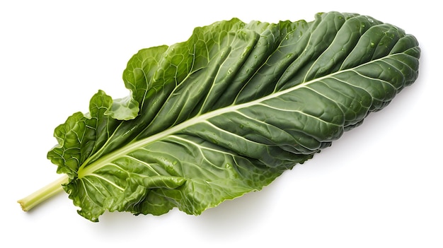 Collards leaf on white background