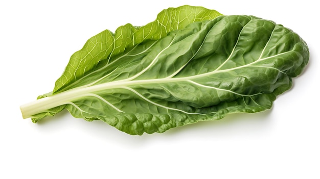 Collards leaf on white background