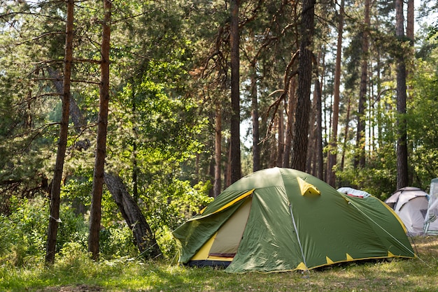 Collected tents in the forest glade, collective camping, outdoor recreation