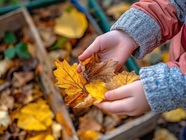 Photo collecting fall leaves for crafting projects