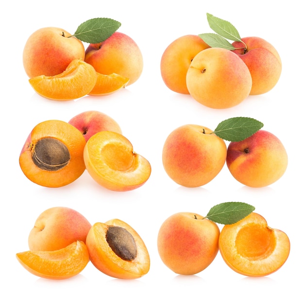 Collection of 6 apricot images