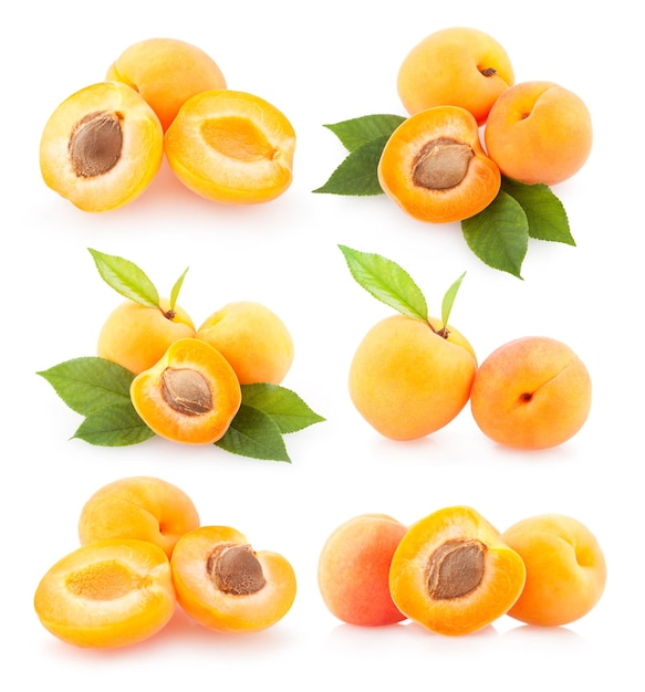 Collection of apricot images