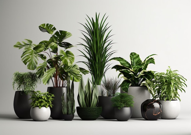 Collection of beautiful plants in ceramic pots