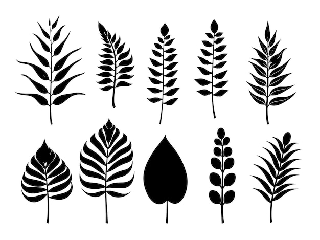 A collection of black and white illustrations of plants.