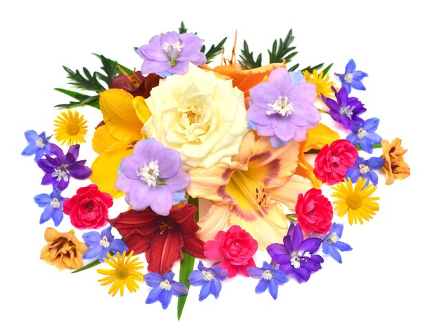 Collection of flowers delphinium rose daisy and hemerocallis isolated on a white background Stylish floral arrangement Flat lay top view