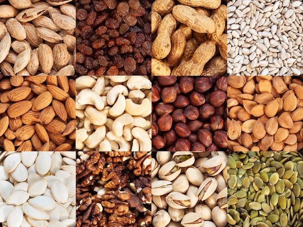 A collection of raisins cashews apricot seeds walnuts sunflower seeds hazelnuts pumpkin seeds peanuts and almonds in square shape top view closeup Nut Pattern