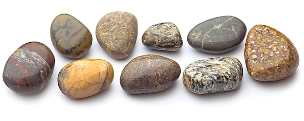 a collection of rocks including one that has a white background